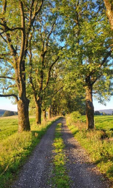 Rennsteighotel Gruener Baum Schmiedefeld am Rennsteig Esterno foto