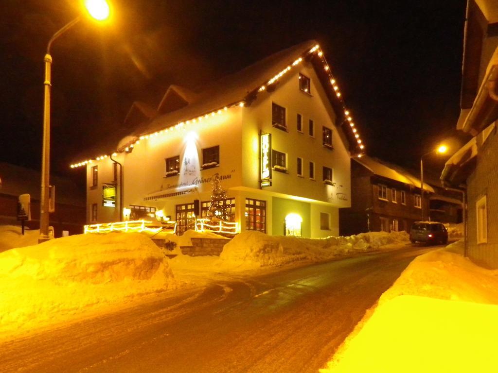 Rennsteighotel Gruener Baum Schmiedefeld am Rennsteig Esterno foto